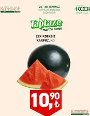 ÇEKİRDEKSİZ KARPUZ KG fiyat ve kampanya bilgisi